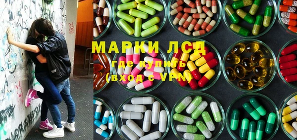 spice Каменка