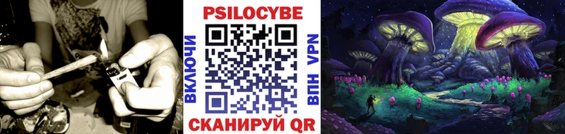 Купить закладки  Полесск  Псилоцибиновые грибы Cubensis 